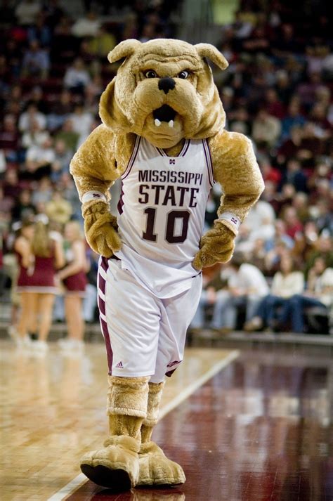 How Mississippi State's Bully Mascot Represents the University's Values